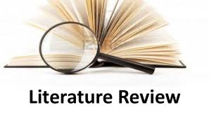 literature review service